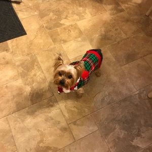 Meet your Posher, Pilar